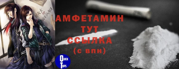 прущие грибы Няндома