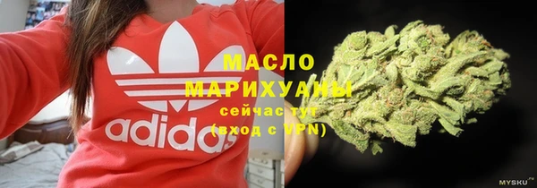 прущие грибы Няндома