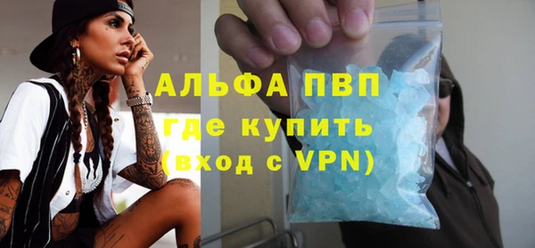 прущие грибы Няндома
