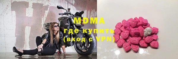 прущие грибы Няндома