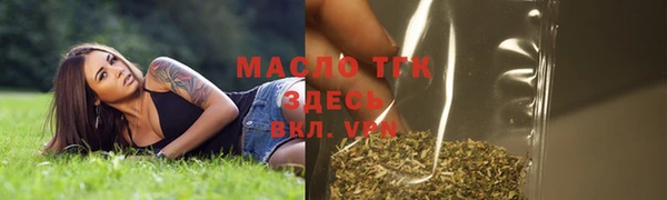 прущие грибы Няндома