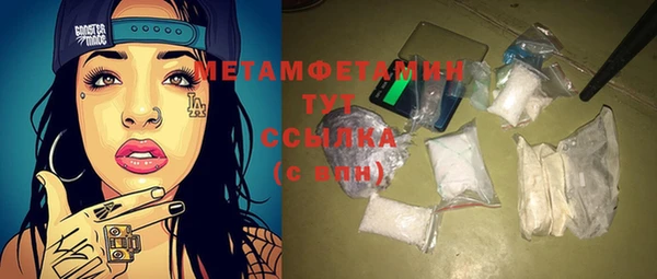 прущие грибы Няндома