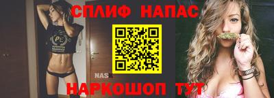 Альфа ПВП Донецк