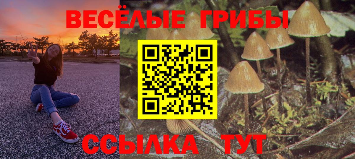 Галлюциногенные грибы Psilocybe  Вход с VPN  Котлас 
