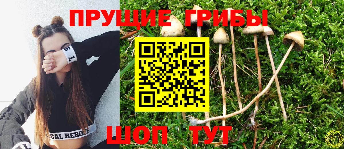 Галлюциногенные грибы Cubensis Котлас